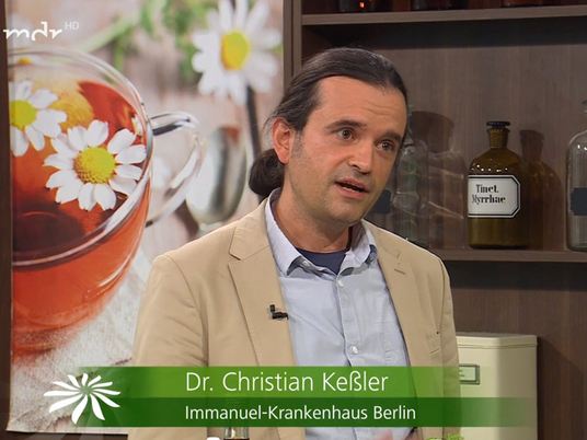 Naturheilkunde Berlin - Nachrichten - Video-Tipp: Ayurveda bei Reizdarm, Ernährungsprinzipien - Studien - PD Dr. Christian Kessler - „Hauptsache gesund“