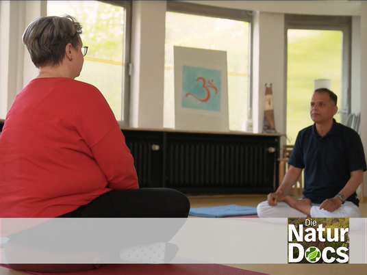 Immanuel Krankenhaus Berlin - Naturheilkunde - Nachrichten - TV-Tipp: Die Natur-Docs – Heilmethoden bei Fatigue - Yoga
